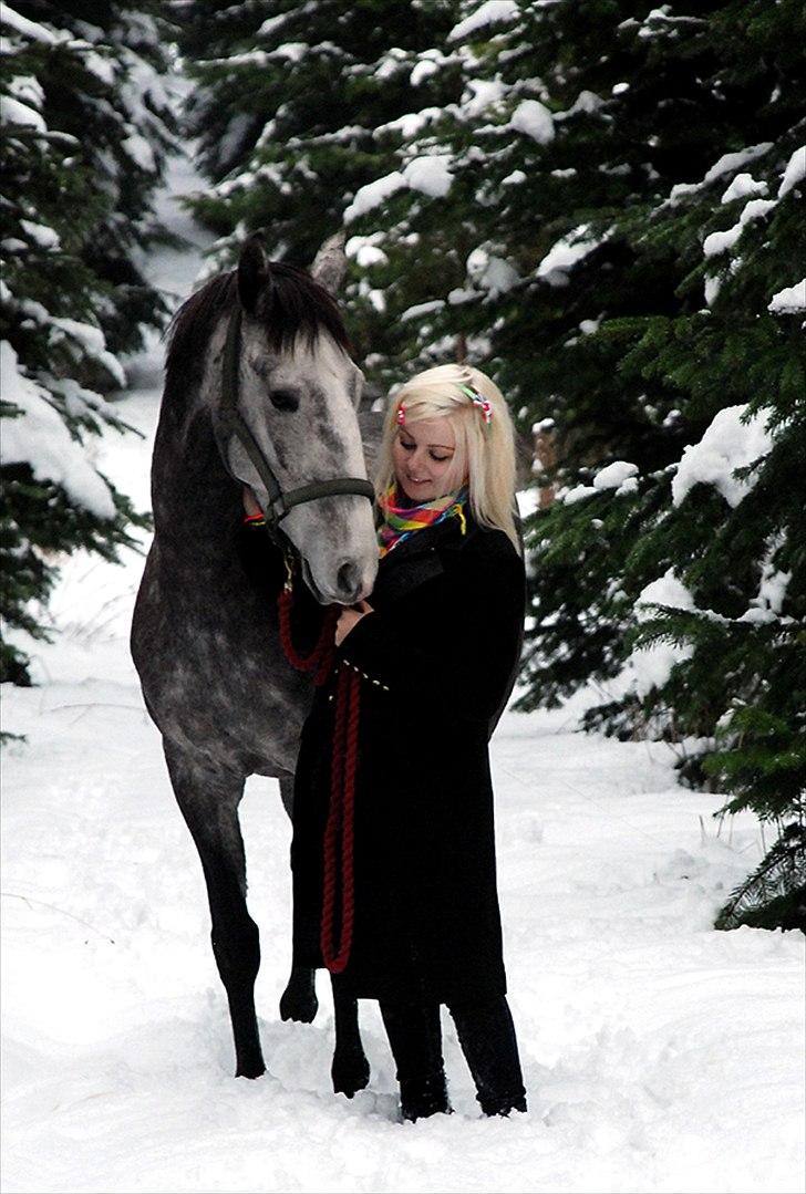 Lusitano Amêndoa billede 13