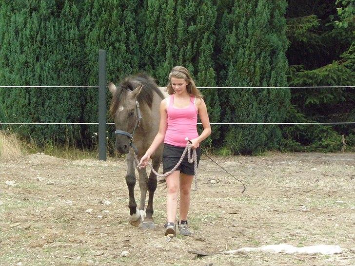 Anden særlig race Skovbjerggaards Astucia - Fra sommerferien (; billede 10