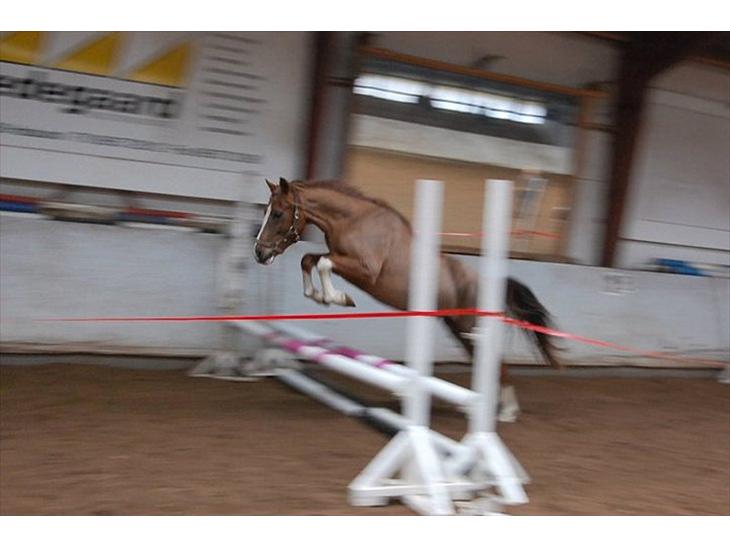 {{currentPhoto.altText}} billede {{currentPhoto.number}}