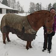 Anden særlig race Aladin * gammel part*