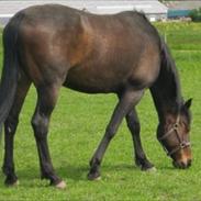 Traver Kentuckey Place