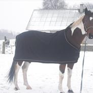 Pinto Nygårds Victory