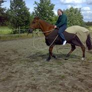 Anden særlig race Django (R.I.P) <3