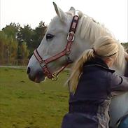 Anden særlig race Skyttegårdens Theodor 