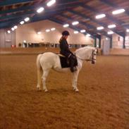 Anden særlig race Melanie