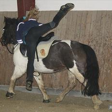 Anden særlig race Fanny har redet<3