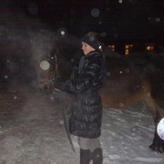 Tysk Sportspony Minella