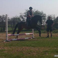 DSP S.S All Magic-mitalt<3