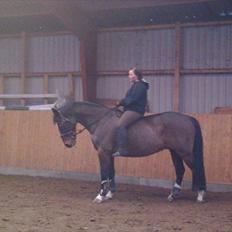 Anden særlig race Thito