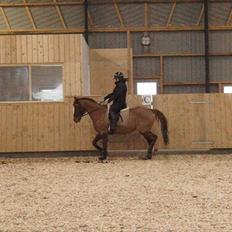 Anden særlig race chantal