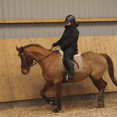 Anden særlig race chantal