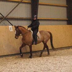 Anden særlig race chantal