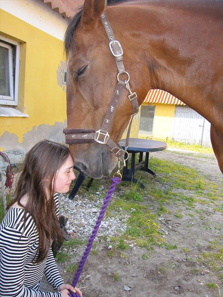 Dansk Varmblod Felicity bbh | Felle <3 - Nr . 12 <3 Foto: Helena <3 
I harmoni med hesten! :D<3 haha  
 billede 12