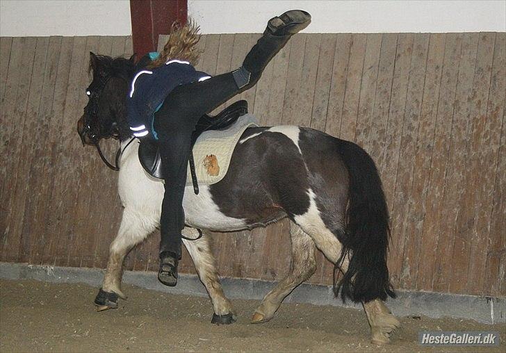 Anden særlig race Fanny har redet<3 billede 2