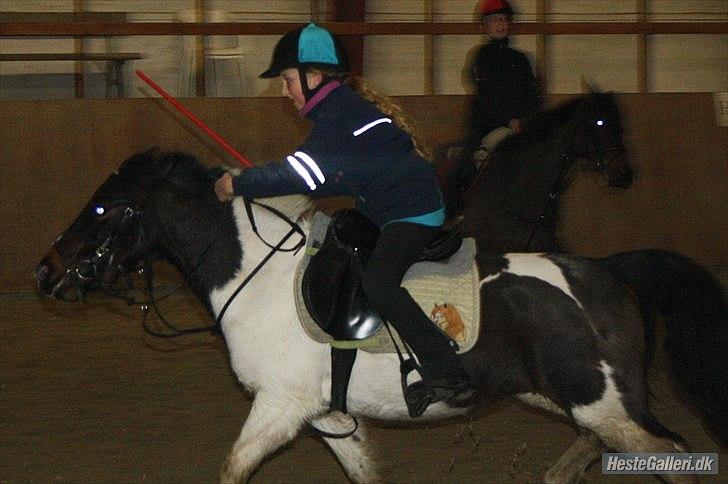 Anden særlig race Fanny har redet<3 billede 3