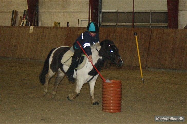 Anden særlig race Fanny har redet<3 billede 4