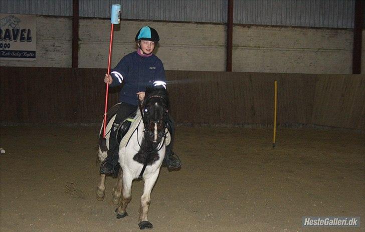Anden særlig race Fanny har redet<3 billede 5