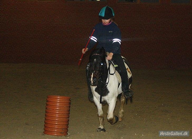 Anden særlig race Fanny har redet<3 billede 6