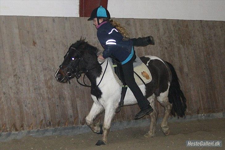 Anden særlig race Fanny har redet<3 billede 7