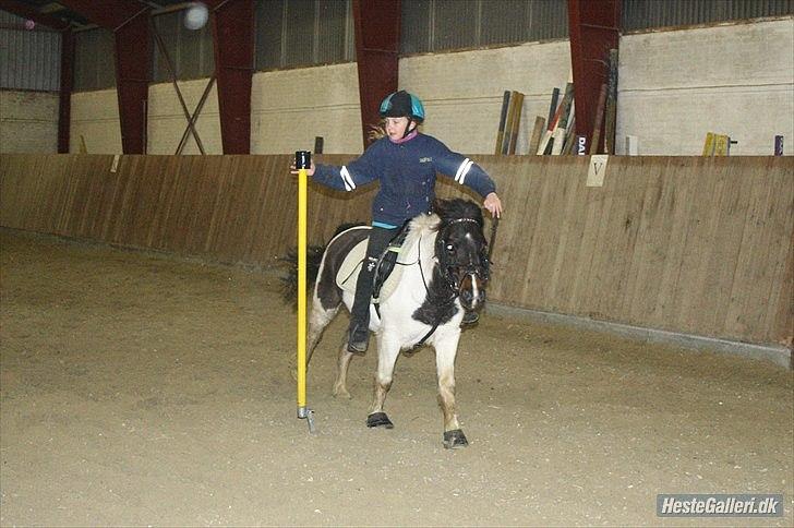 Anden særlig race Fanny har redet<3 billede 9