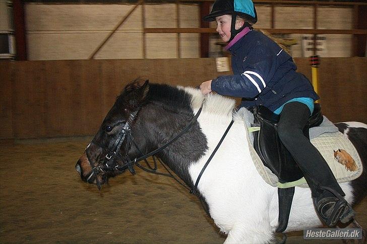 Anden særlig race Fanny har redet<3 billede 10