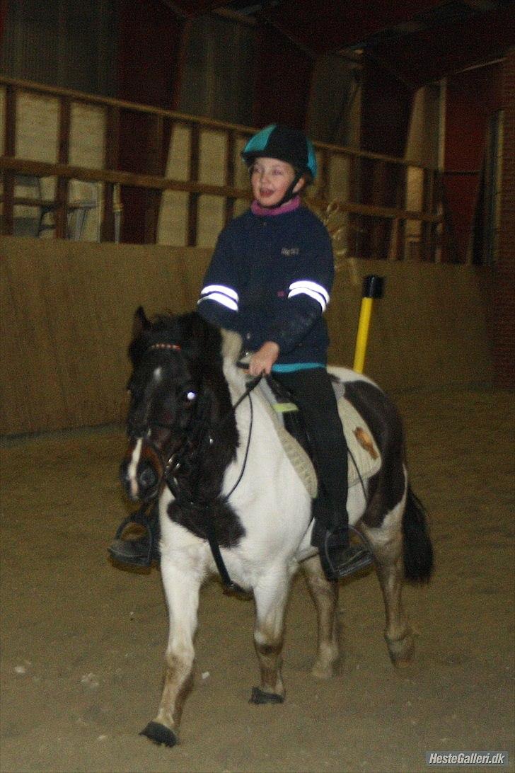 Anden særlig race Fanny har redet<3 billede 11