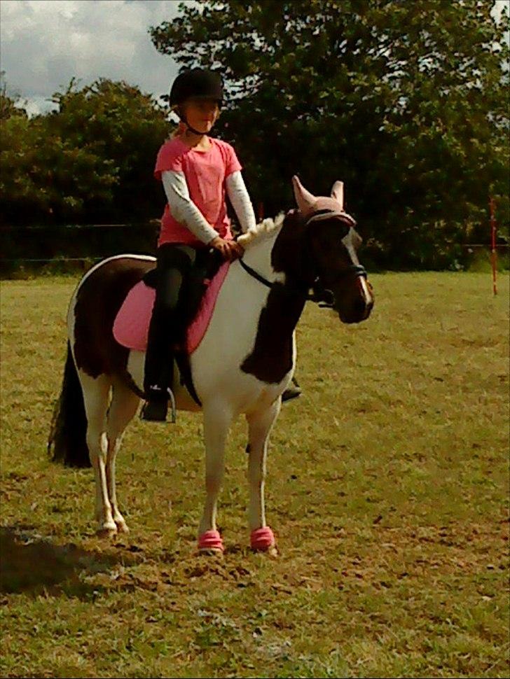 Anden særlig race Fanny har redet<3 billede 14