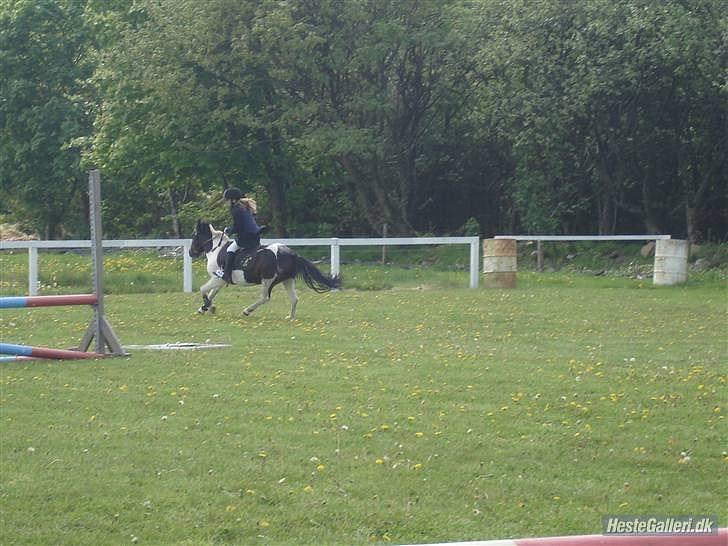 Anden særlig race Fanny har redet<3 billede 15