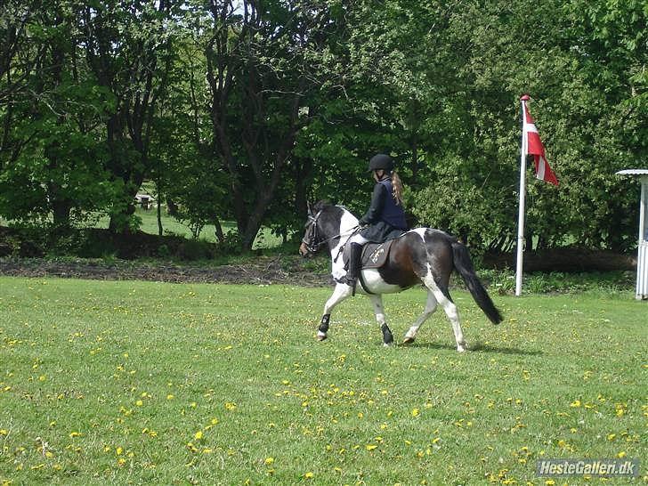 Anden særlig race Fanny har redet<3 billede 16