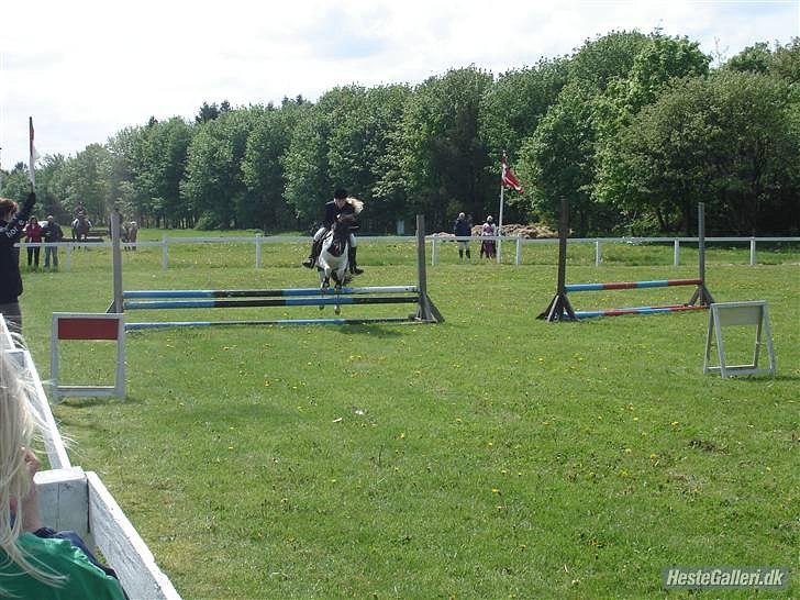 Anden særlig race Fanny har redet<3 billede 17