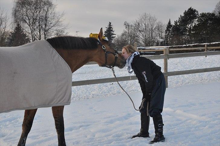 Anden særlig race Napoli - Mys mor! :D <3 (Napoli i sneen d. 29/12) billede 5