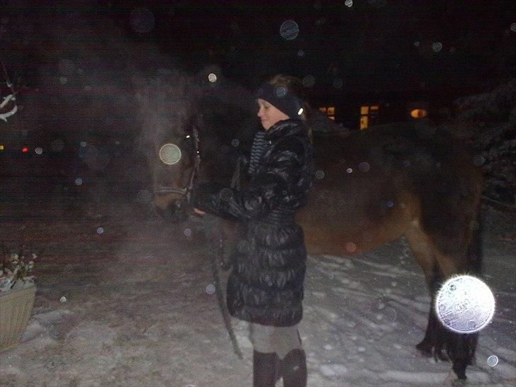 Tysk Sportspony Minella - igen da hun lige var kommet.. billede 2