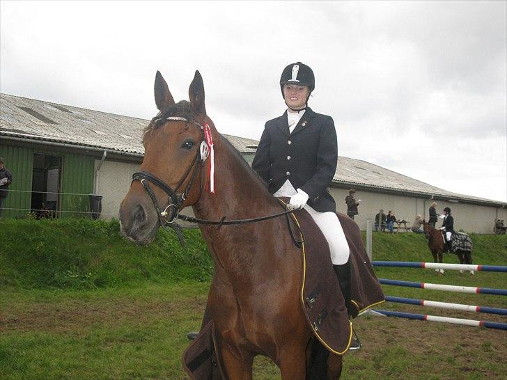 Pinto Cæsar af bæktoft billede 13