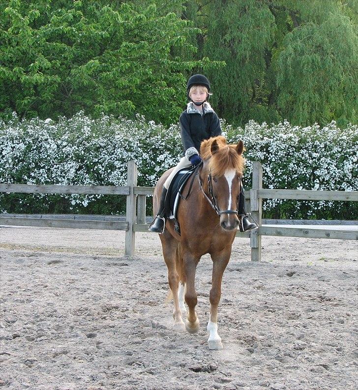New Forest Odbjergs Easter Fun billede 7