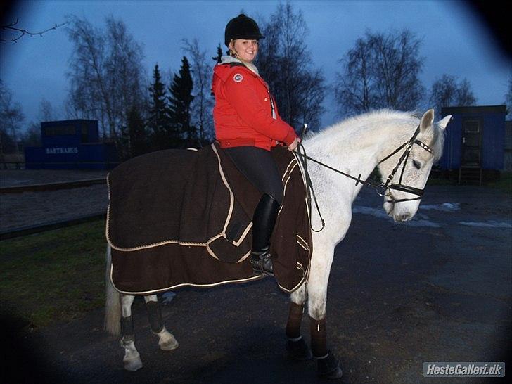 Irsk Sportspony Mikado <3 *Savnet* :'( - den flotte dreng og mig billede 4