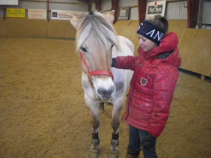 Fjordhest R. Hyracint (Solgt) - 28/12 2010 løsspring med Tøsen (-; billede 9