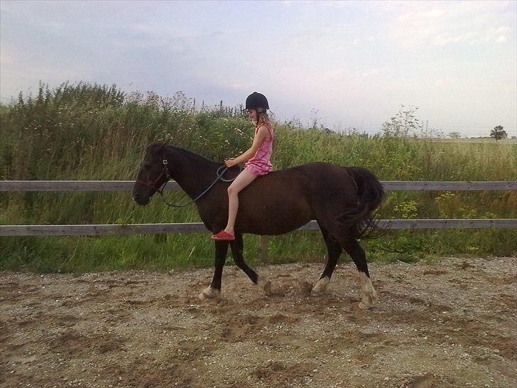 Anden særlig race Leika billede 10