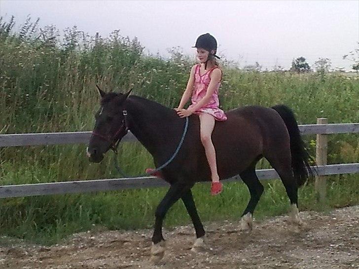 Anden særlig race Leika billede 11