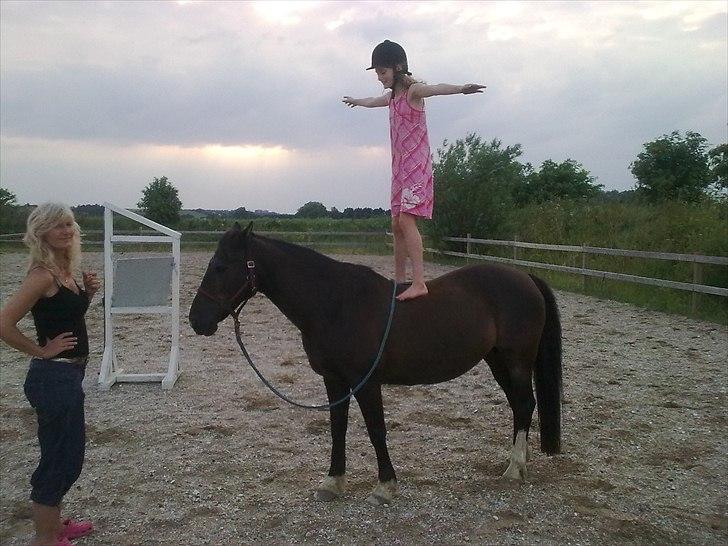 Anden særlig race Leika - Rolige Ponzer. -, ,,Vi kan alt! <3" billede 12