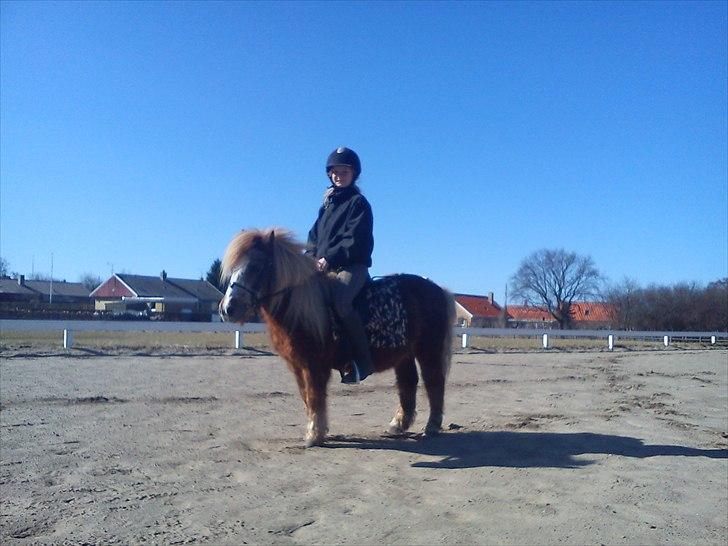 Anden særlig race Ringostar ( Rikke )<3 - skatte-dreng jeg elsker dig billede 3