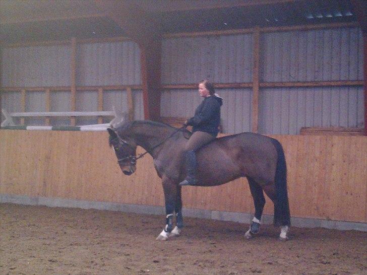 Anden særlig race Thito - En dag uden sadel.. Sadlen er til reparation så vi må jo ride uden :) billede 3