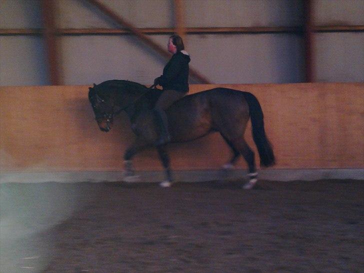 Anden særlig race Thito - Igen uden sadel :) billede 4