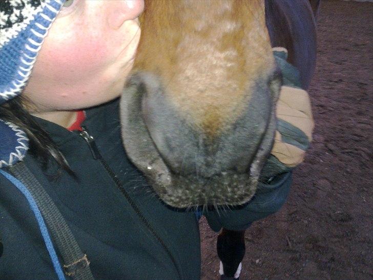 Anden særlig race Thito - Møøøøøøøz <3 billede 5