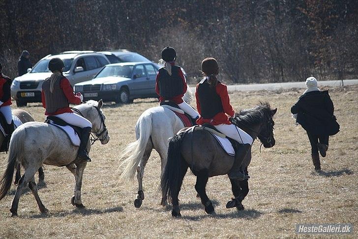 Anden særlig race Bonus billede 18