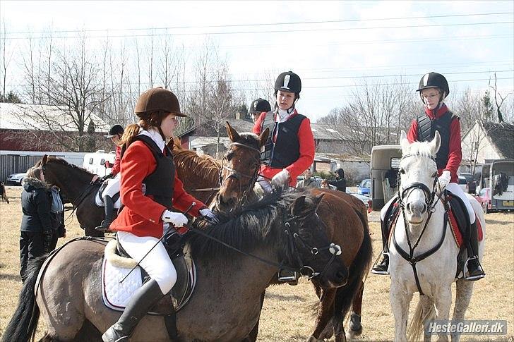 Anden særlig race Bonus billede 20