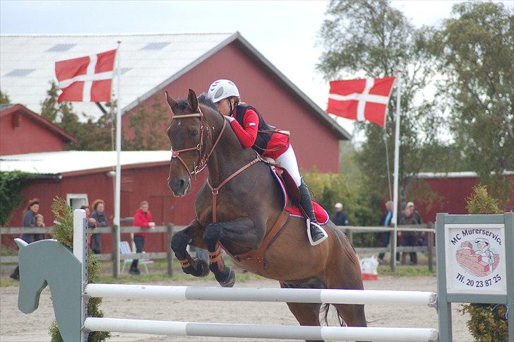 Hannoveraner Dirty (Døtse) - Sjællandsmesterskaber 2009 billede 13