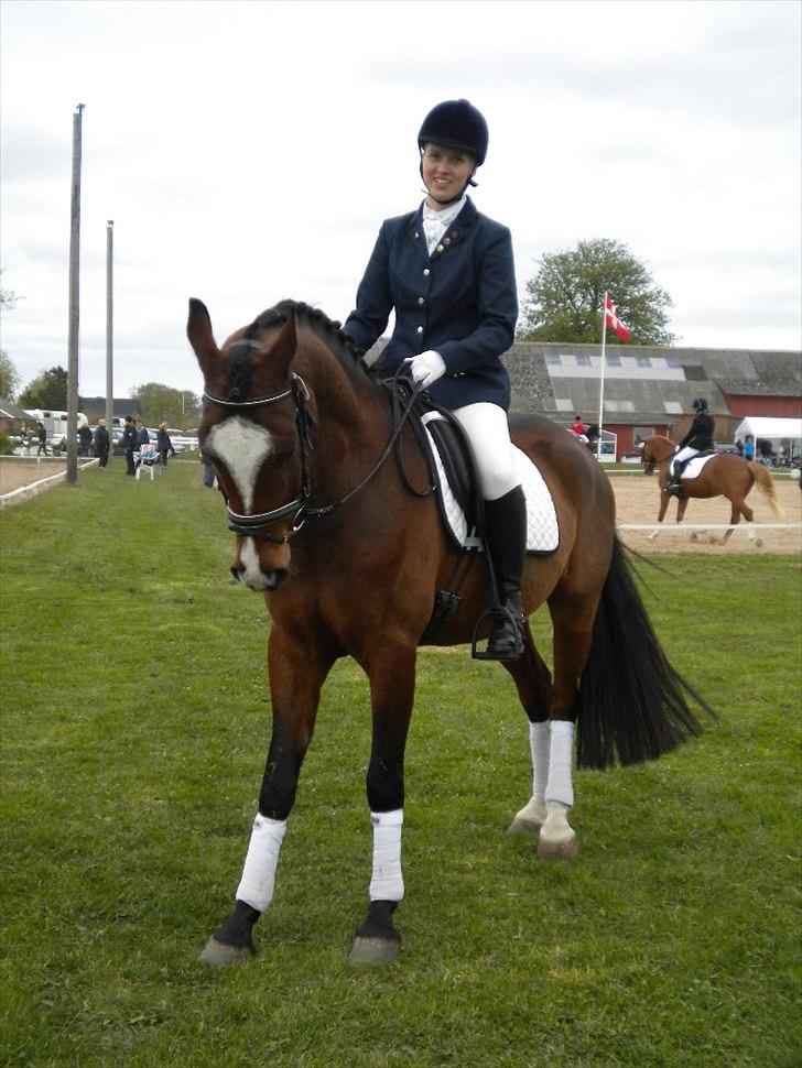 DSP Haahr's Kalahari GSB - Stævne Ørsted 2010 billede 11