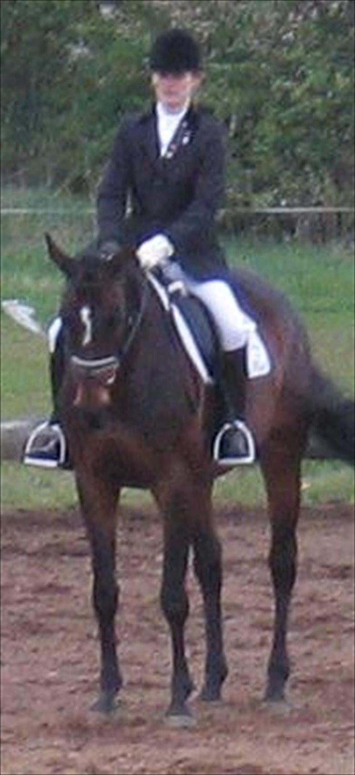 Dansk Varmblod Pretty Tacoma - Stævne i BOOR billede 7