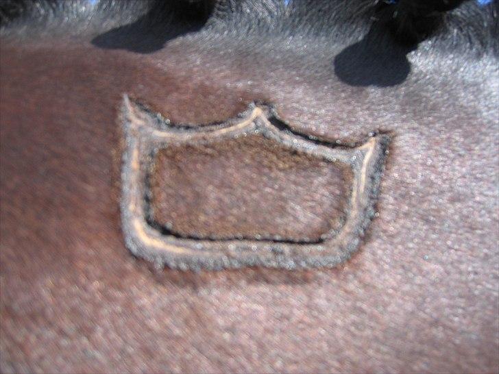 Dansk Varmblod Pretty Tacoma - Ny trykt krone på halsen fra kåring = DH. Var i 2004. billede 13