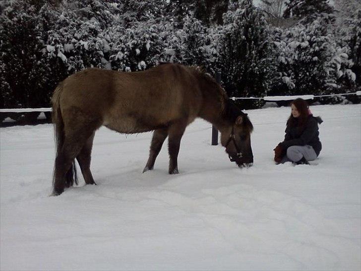 Anden særlig race Skovbjerggaards Astucia - D. 27. december :-D billede 11